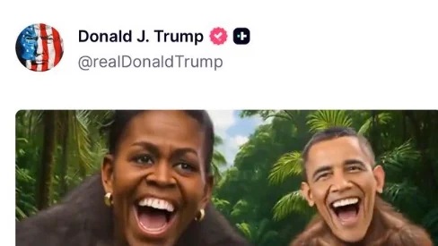 Obamas racist image